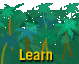 Rainforest House� Educational Information